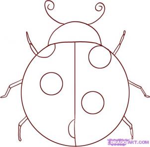 Drawing Printout: How to Draw a Ladybug