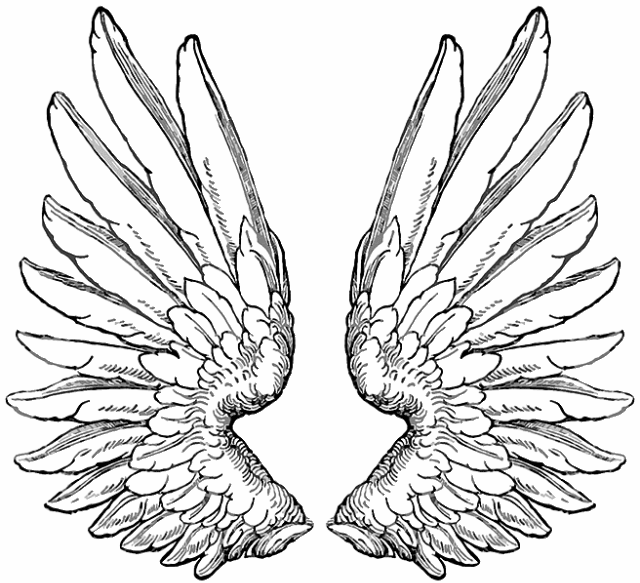 Wings tattoo 47.gif (640?583) | Wings (tattoo design) | Clipart library