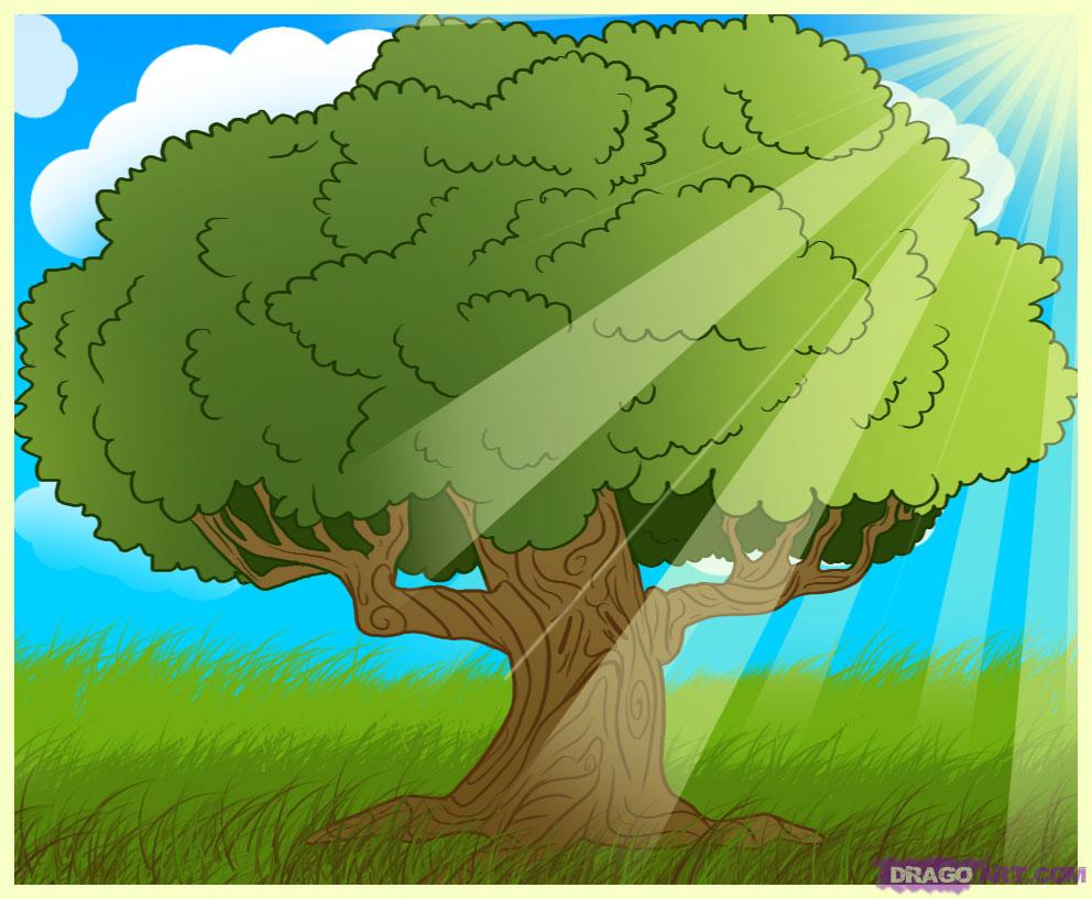 Capturing Nature's Playfulness Tree Cartoon Drawings