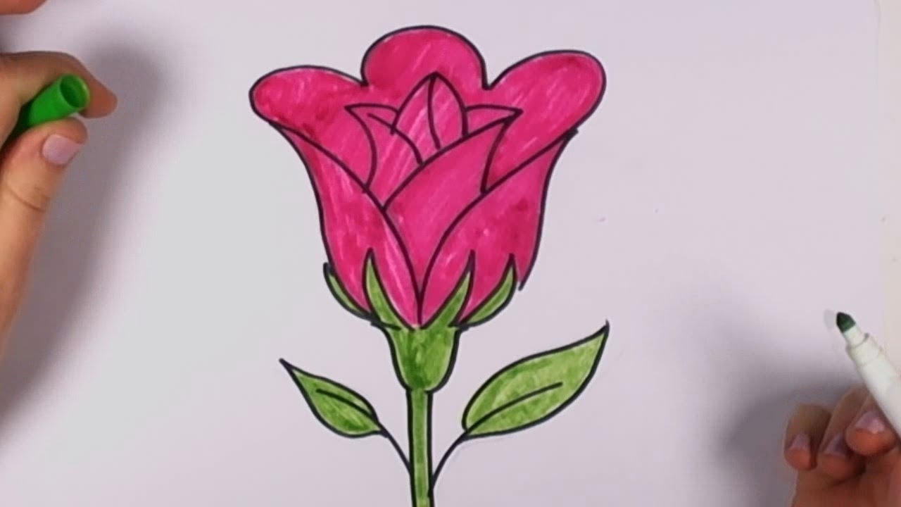 Featured image of post How To Draw An Open Rose : Detailed step by step directions.
