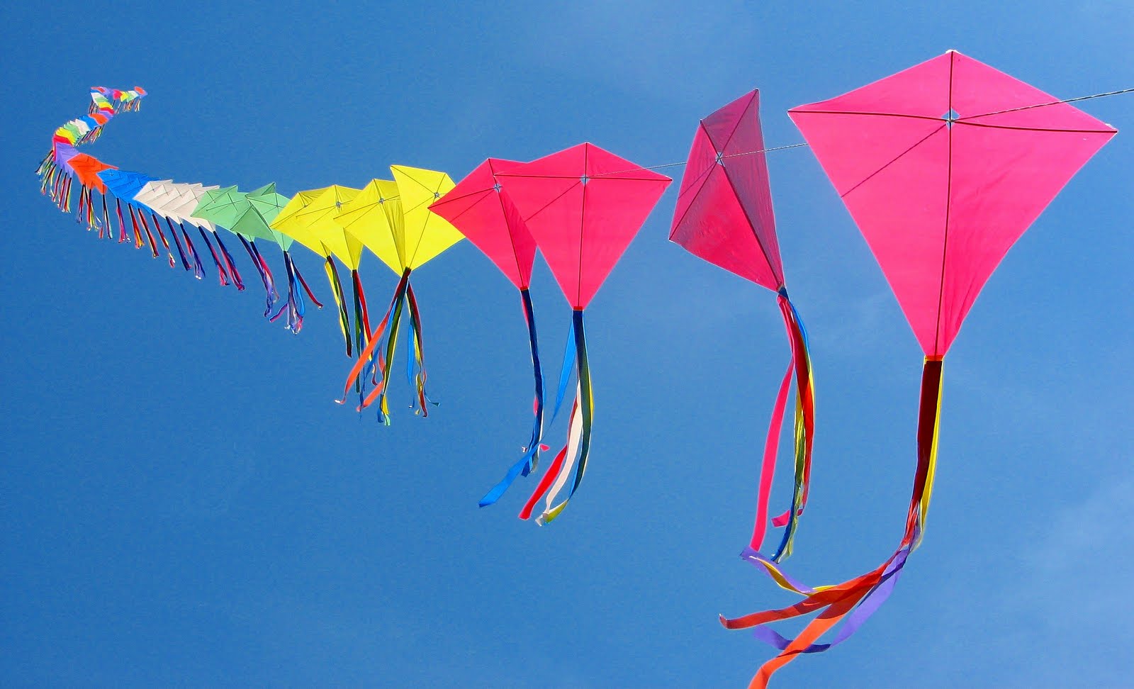 Tybee Island Kite Festival | Discover Tybee Island
