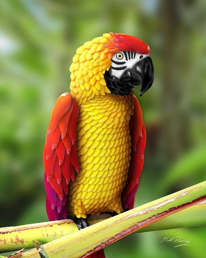 Chili Pepper Macaw by Bill Fleming