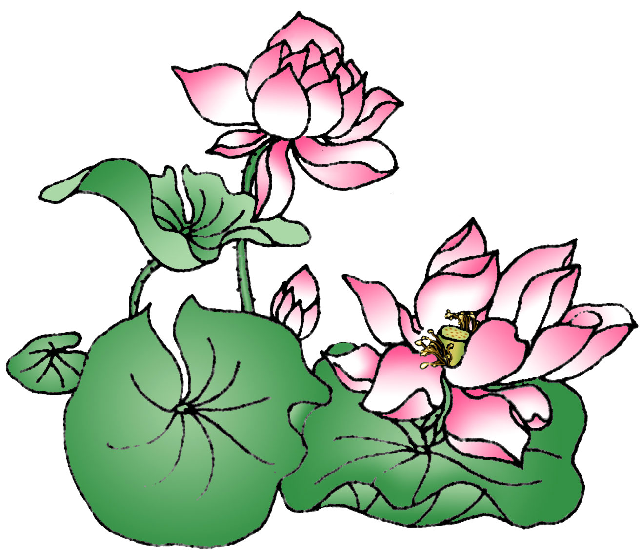 Free Cartoon Lotus Flower, Download Free Cartoon Lotus