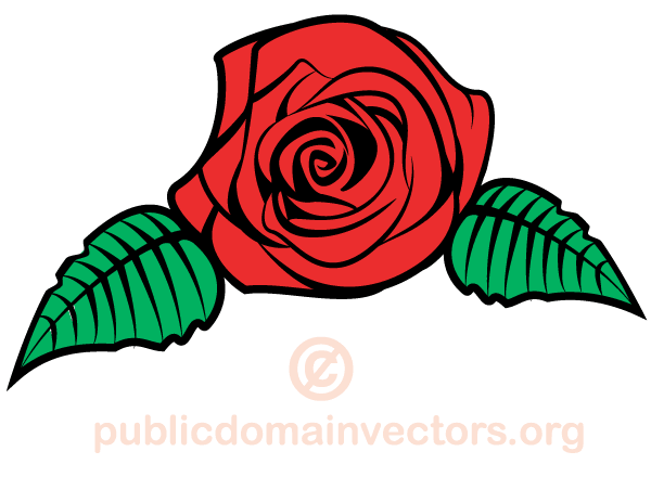 rose clip art vector - photo #12