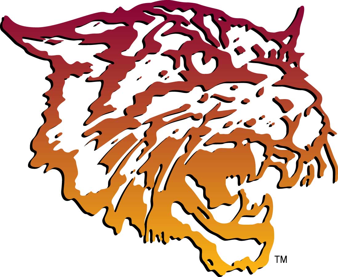 MEAC/SWAC SPORTS MAIN STREET?: Bethune-Cookman names Tyree Price 