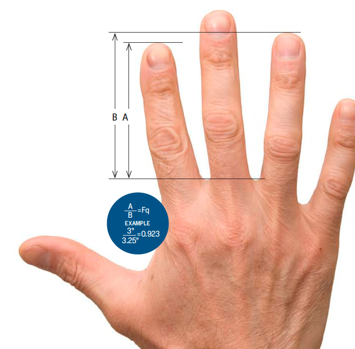 Free Pointer Finger Download Free Pointer Finger Png Images Free 
