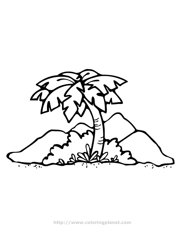 Palm Tree Coloring Page | Mewarnai