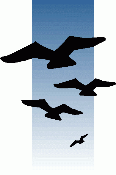 Birds Flying + Clip Art - Clipart library