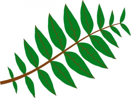 Pinnate Leaf clip art Free vector in Open office drawing svg 