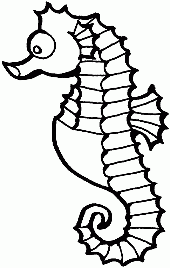Seahorse - Free Printable Coloring Pages