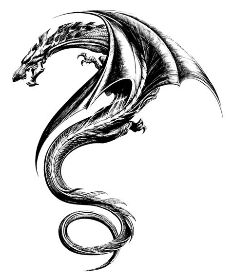 The Girl with the Dragon Tattoo: Tattoo Design 4 - graphic art 