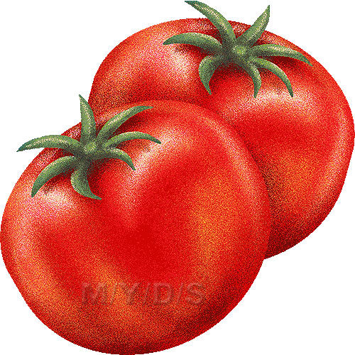 Tomato clipart / Free clip art