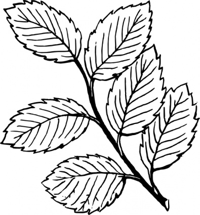 Leaves clip art - Download free Other vectors