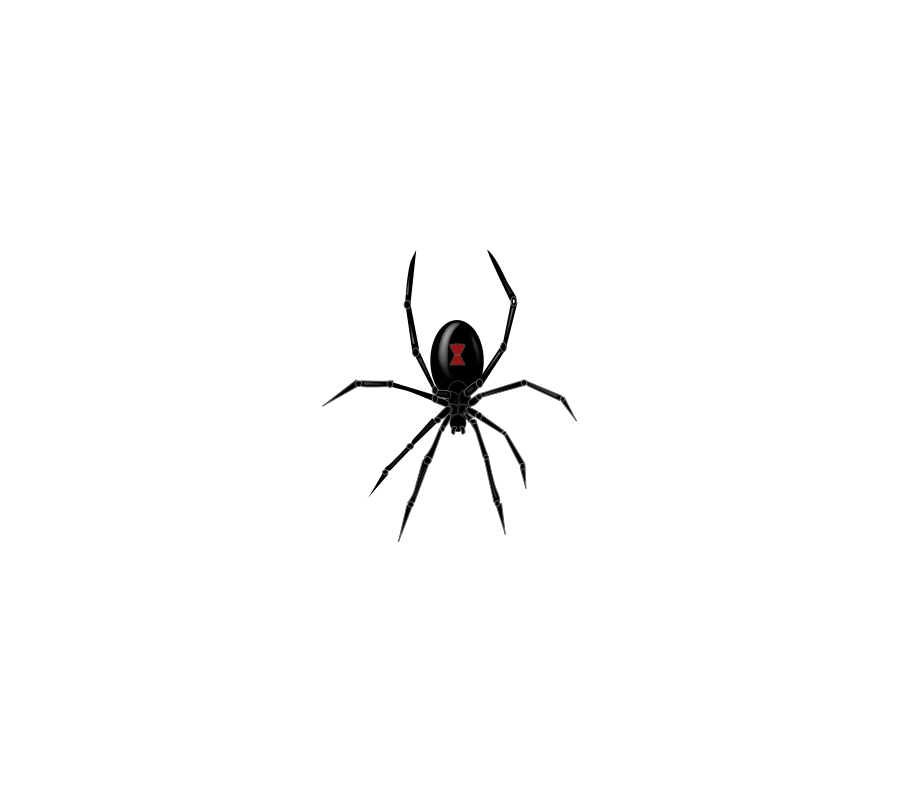 Spider Clipart Black And White