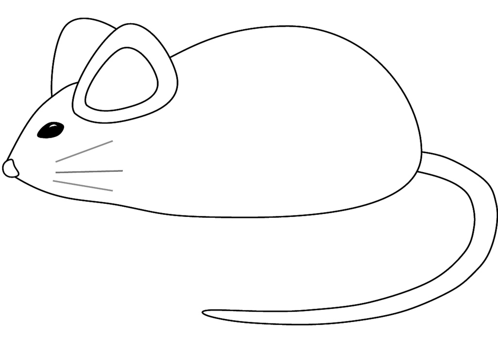 BW Mouse sketch clipart to color, 20 cm long | Flickr - Photo 