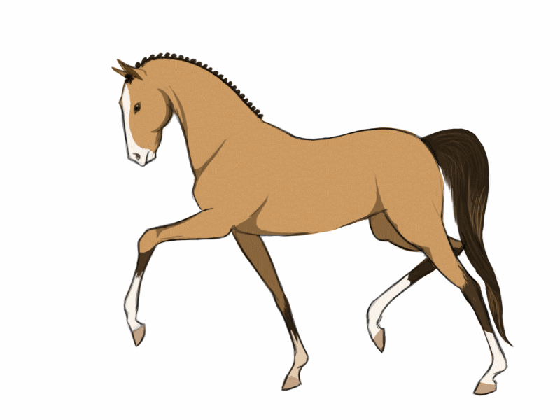 Free Animated Horse Pictures, Download Free Animated Horse Pictures png