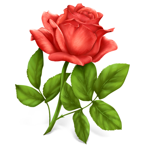 Flower, plant, rose icon | Icon search engine