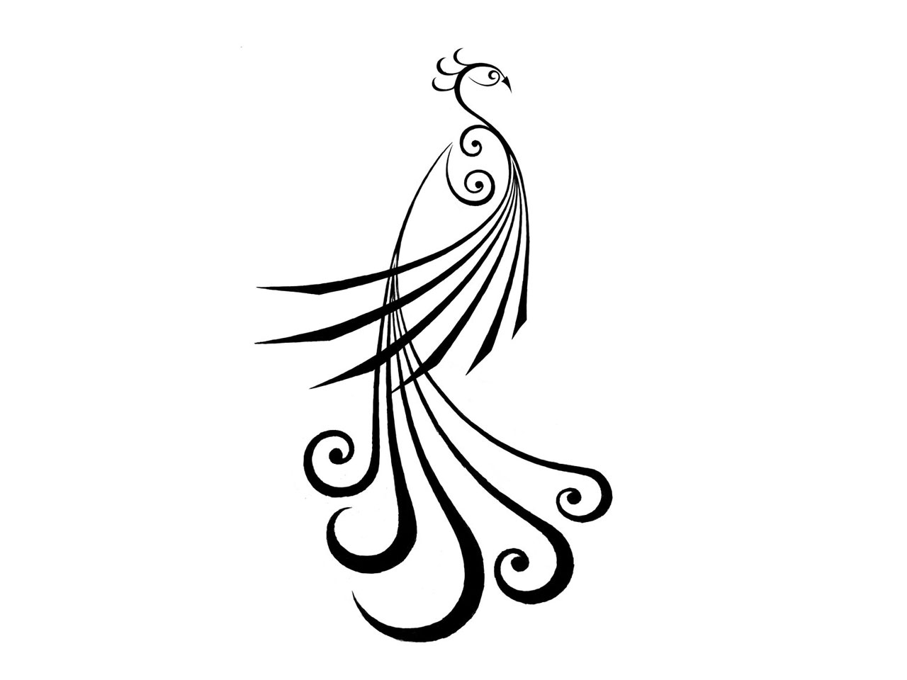 Free Peacock Feather Clipart Black And White, Download Free Peacock