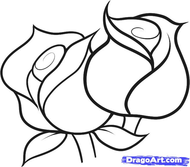 How to Draw Roses for Kids, Step by Step, Flowers For Kids, For 