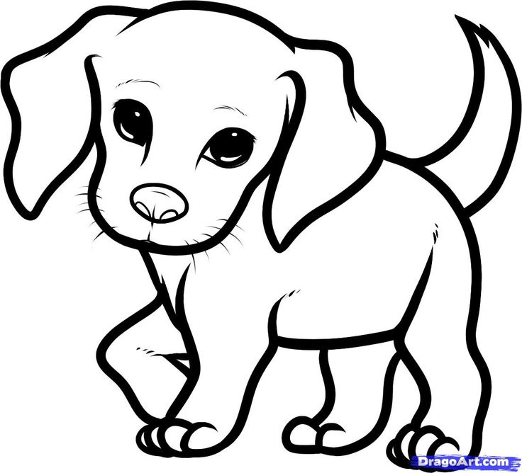 Featured image of post Simple Drawing Pictures Of Dog - 30 ways to draw dogs.