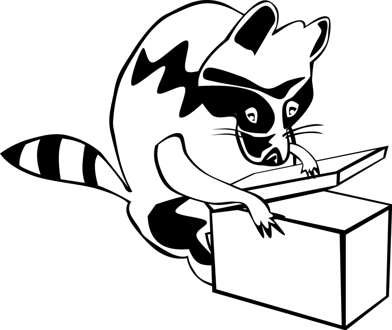 Raccoon Clip Art Download