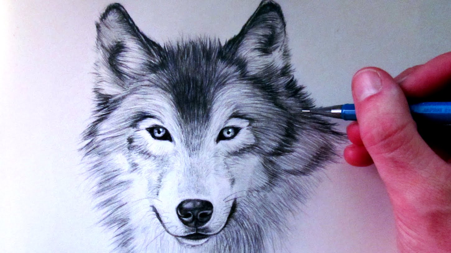 draw a wolf hard - Clip Art Library