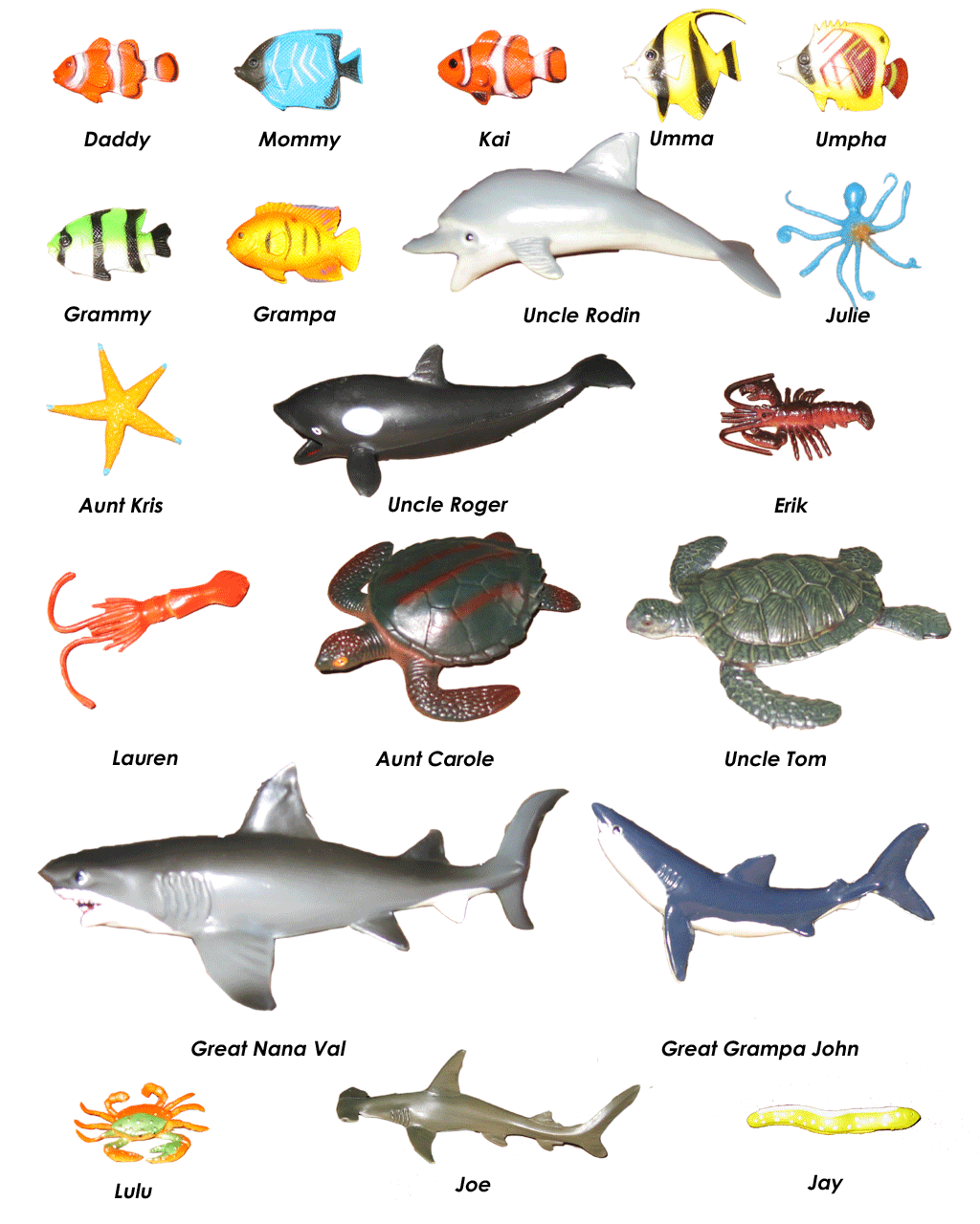 sea animals for kids with names - Clip Art Library