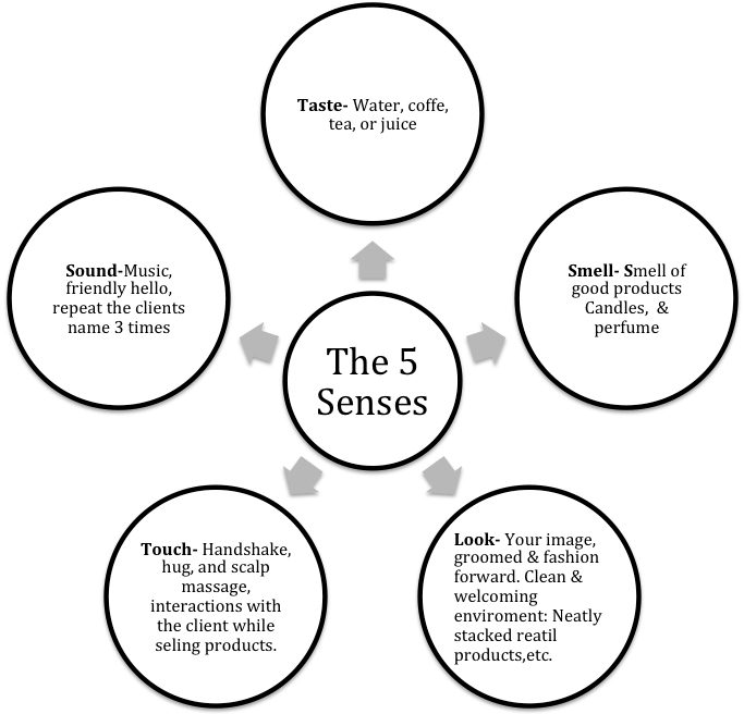 The 5 senses | Bella