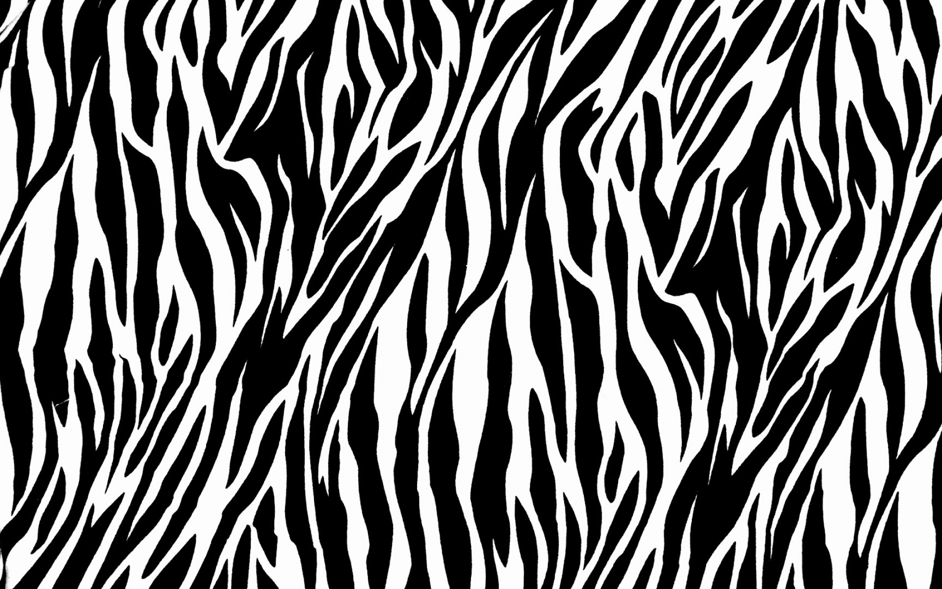 Zebra Print - 1789998
