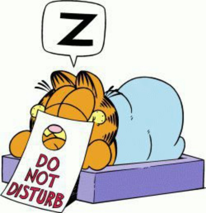 Garfield - Cat Humor at it's Best - Gotta Luv him 