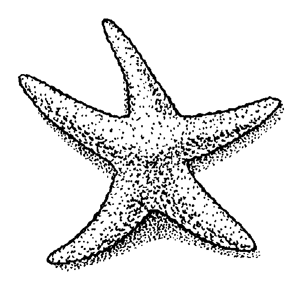 map of the future starfish clipart