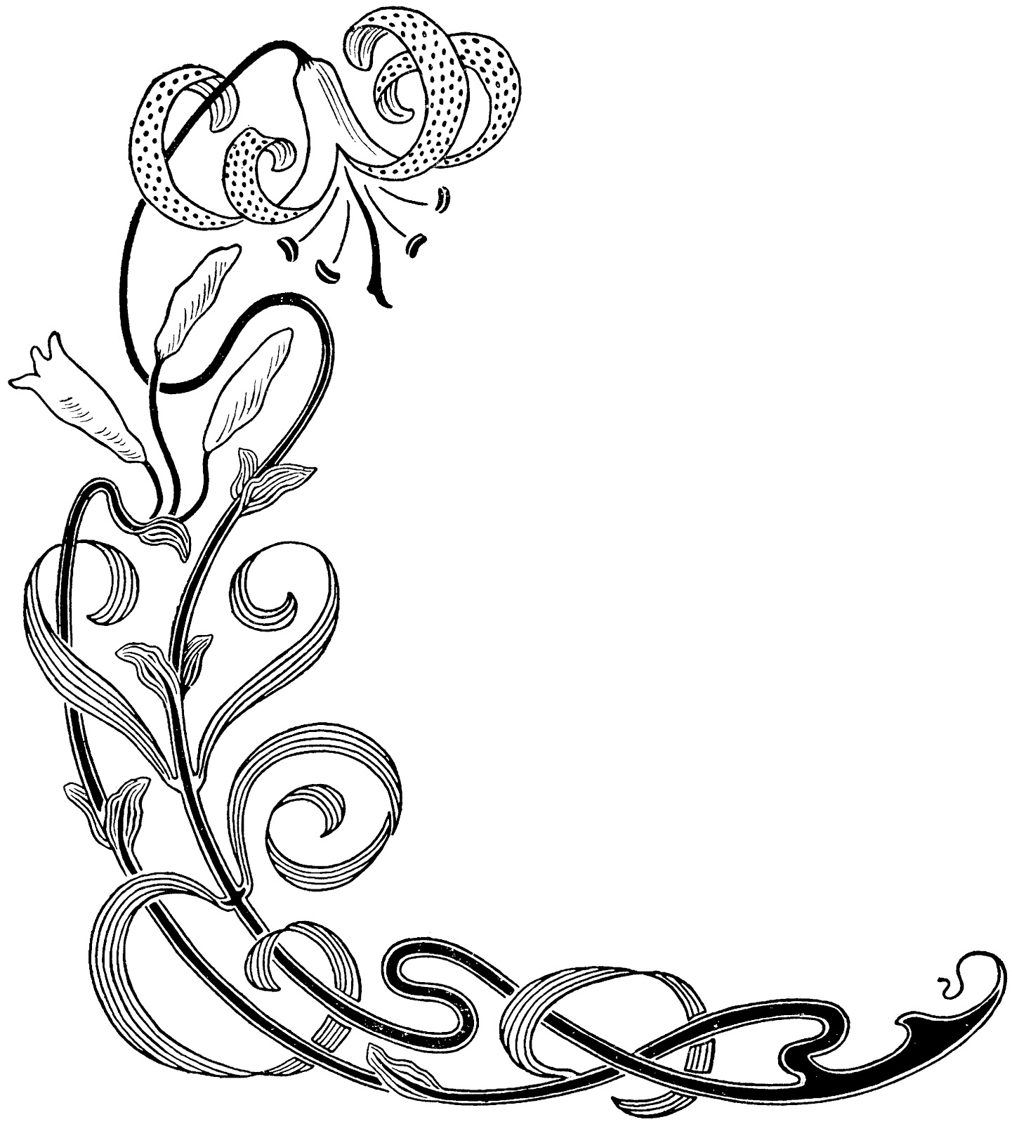 Decorative Flower Borders - Clipart library