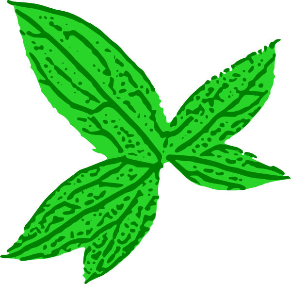 Green Leaf clip art - vector clip art online, royalty free 