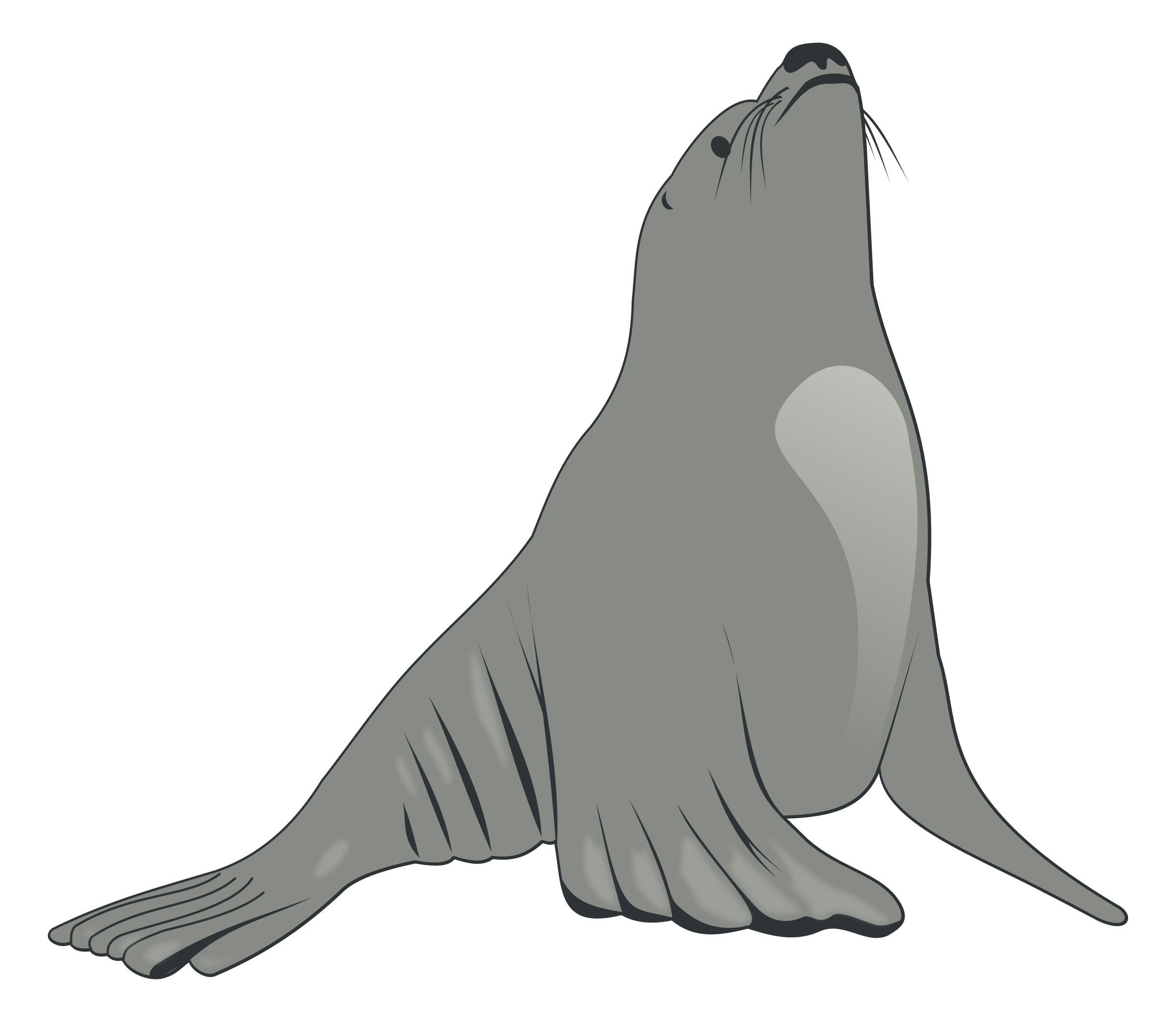 Sea Lion Clip Art | Clipart library - Free Clipart Images
