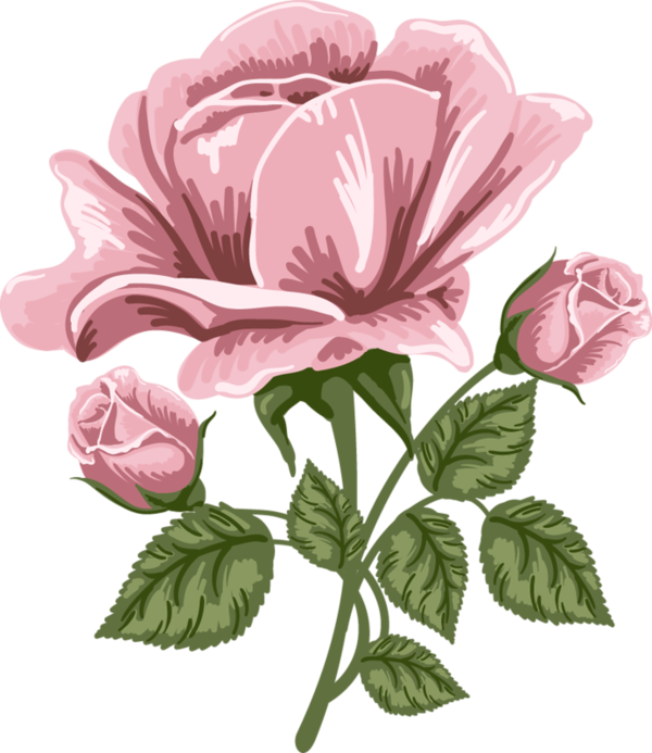 Pink Rose Art PNG Picture