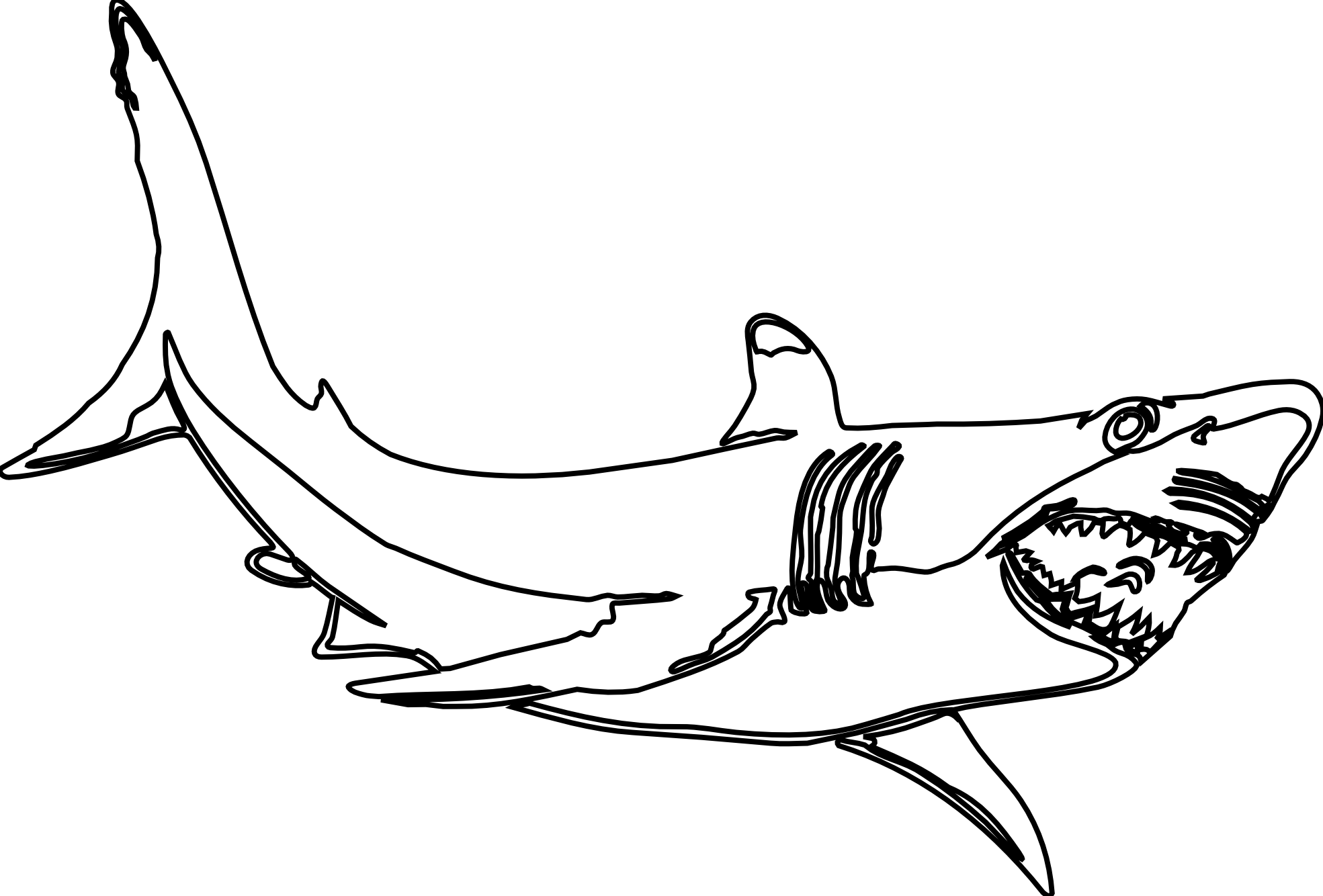 Great White Shark Clipart Black And White | Clipart library - Free 