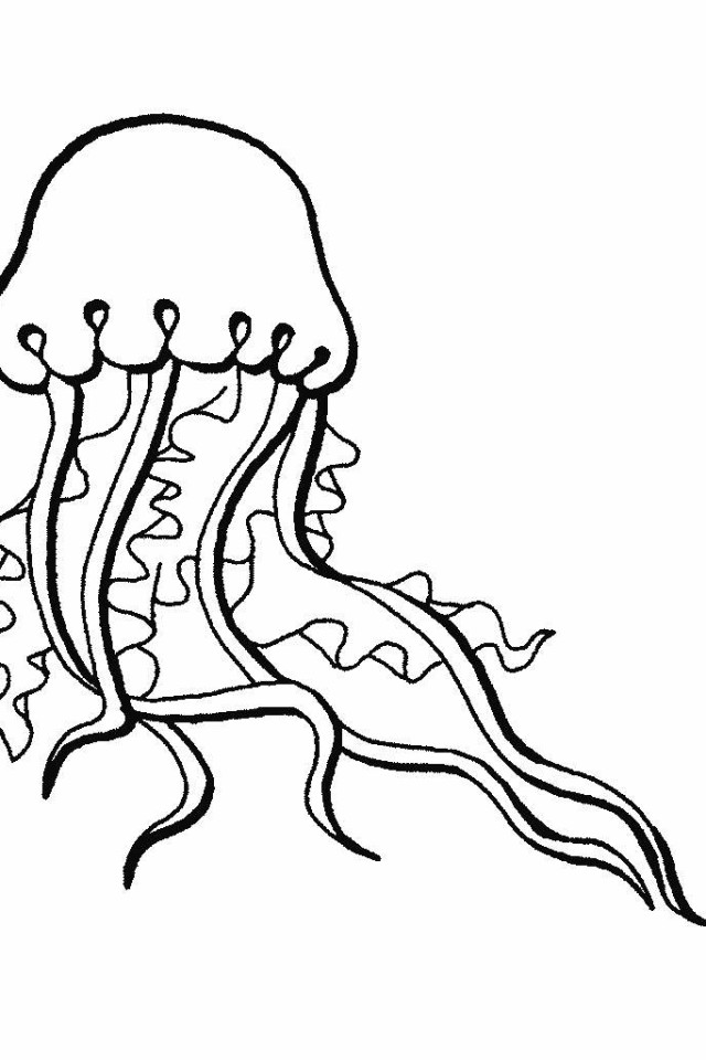 Coloring Pages Of Ocean Animal | download free printable coloring 