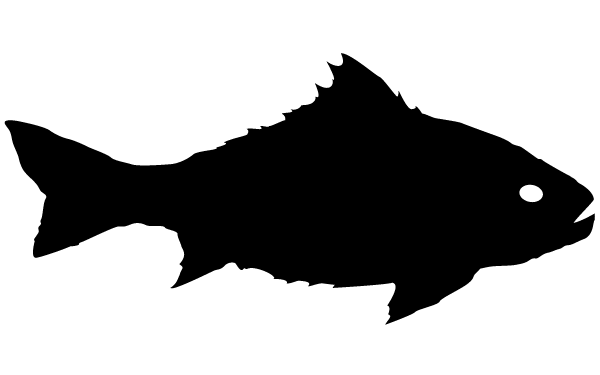 Fish Silhouette Clip Art Image | Download Free Animals Vector Graphics