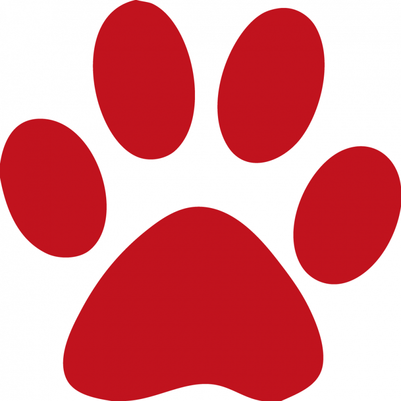 Free Paw Print Template, Download Free Clip Art, Free Clip