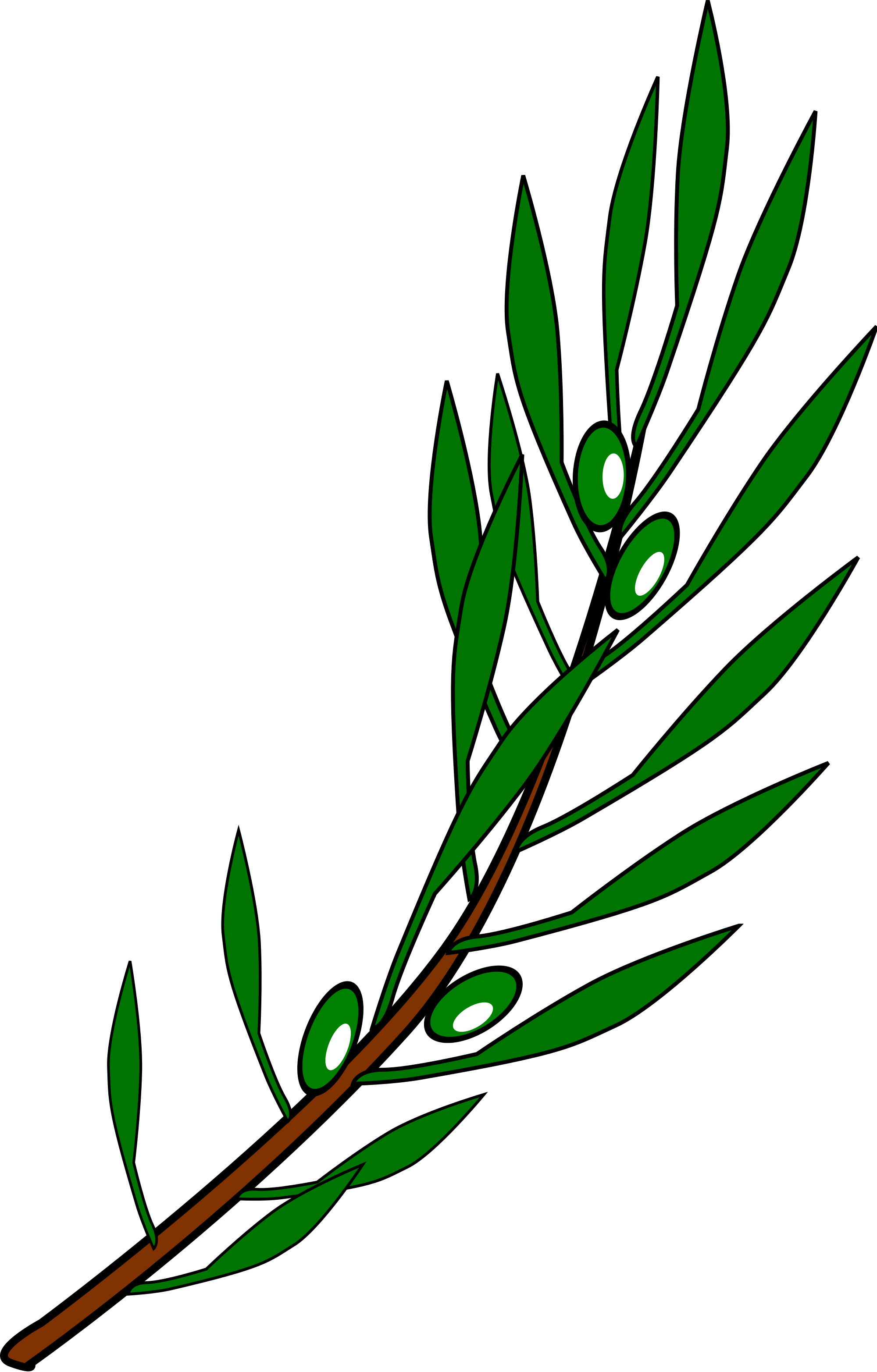 File:Olive branch drawing - Wikimedia Commons