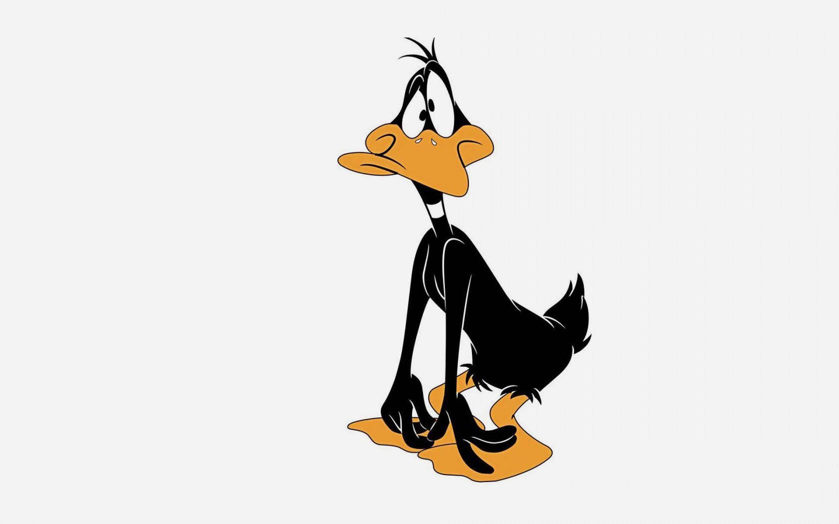 Funny Cartoon Daffy Duck #7006638
