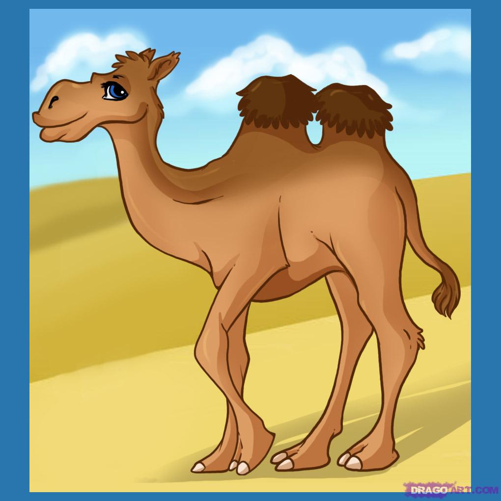 How to Draw a Cartoon Camel, Step by Step, Cartoon Animals 