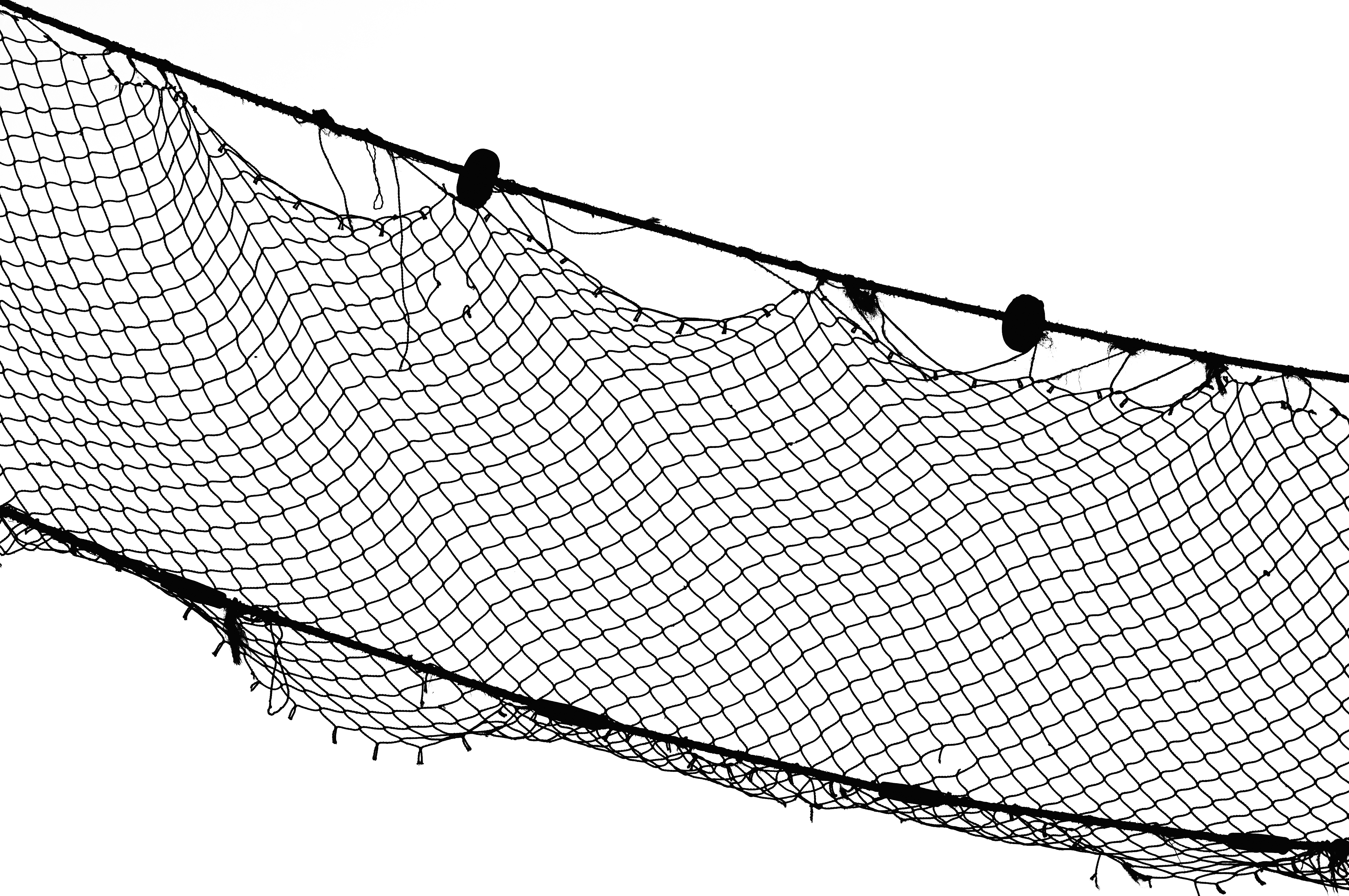 free clipart fishing net - photo #42