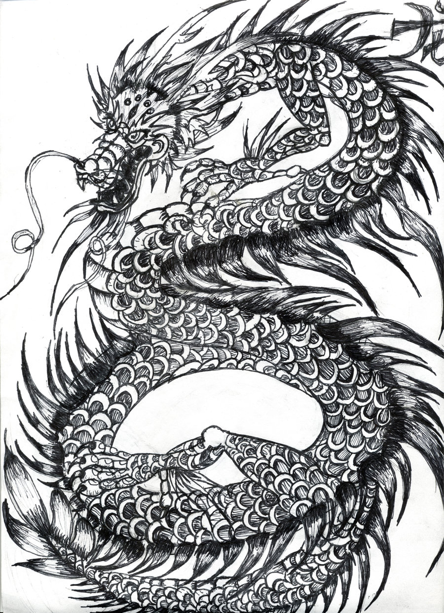 Black white dragon ink by OhioErieCanalGirl on Clipart library