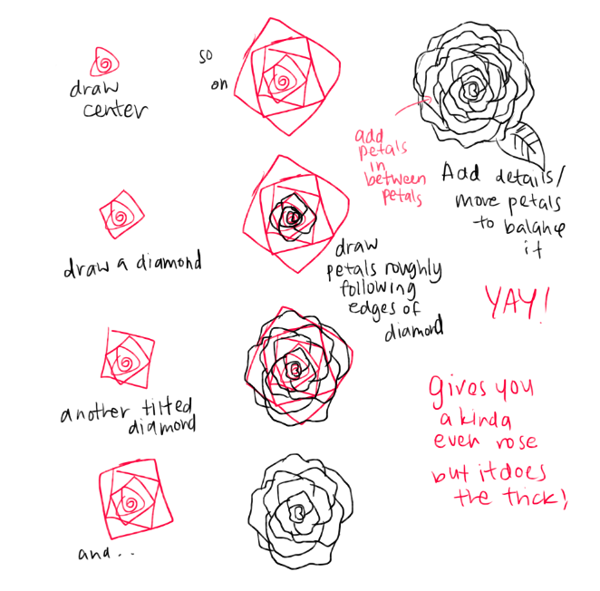 How to draw roses and peonies - Album on Imgur
