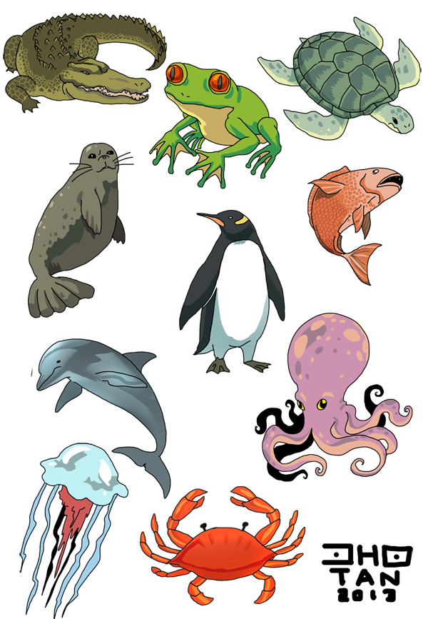 5 pictures of water animals - Clip Art Library