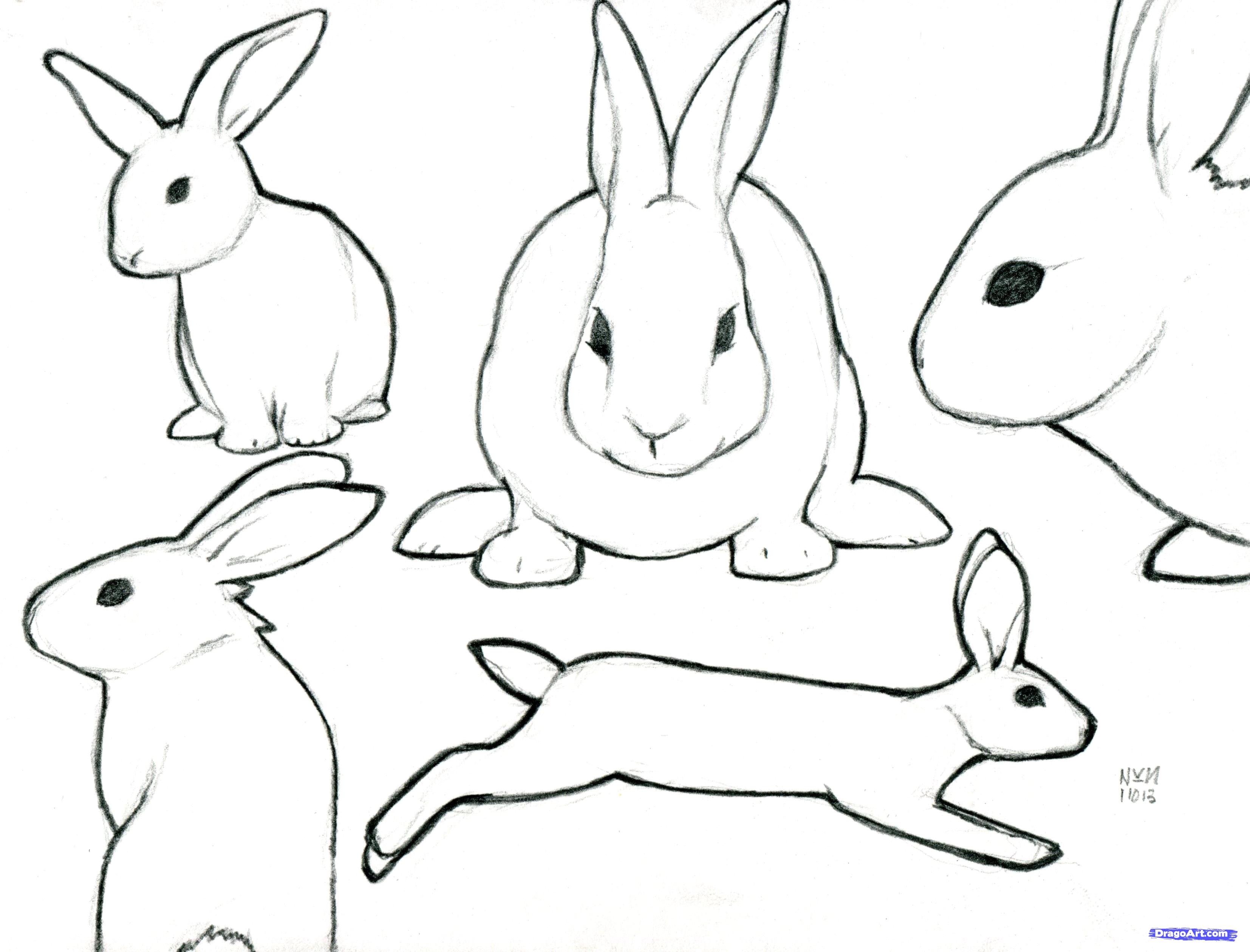 Free Rabbit Cartoon Outline, Download Free Rabbit Cartoon Outline png