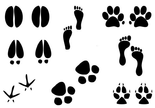 Foot Silhouette Vector illustration of humans, dog paw, cat paw 