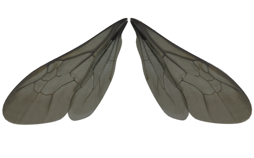 Dark wings by FrankAndCarySTOCK on Clipart library