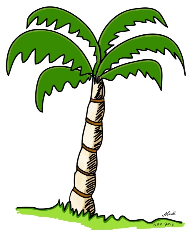 Palm Tree | Alanti